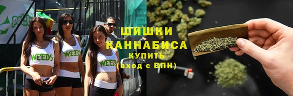 apvp Володарск