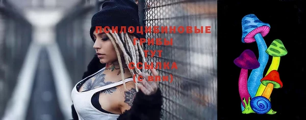 гидропоника Вяземский