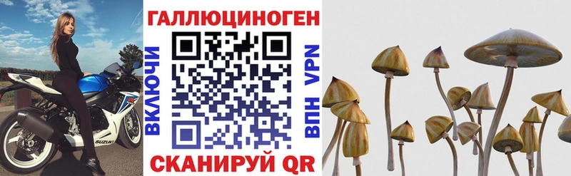 сколько стоит  Зея  Псилоцибиновые грибы ЛСД 